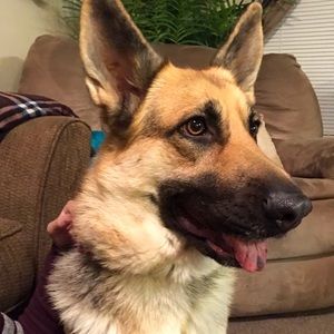 Meet your Posher, Briana